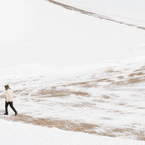 Photo #7427951
