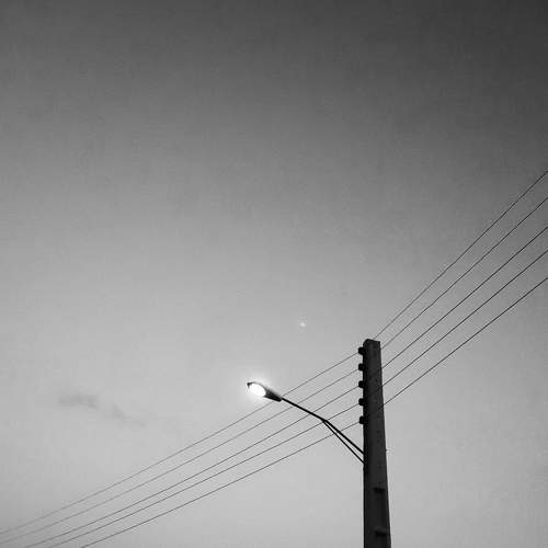 Photo #7428306