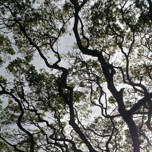 Photo #7428431