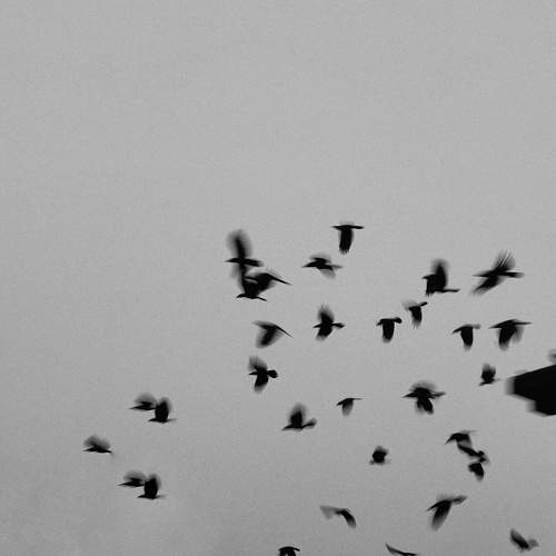 Photo #7428432