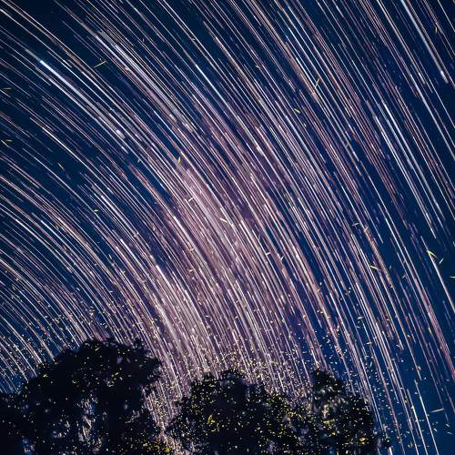 Photo #7428512