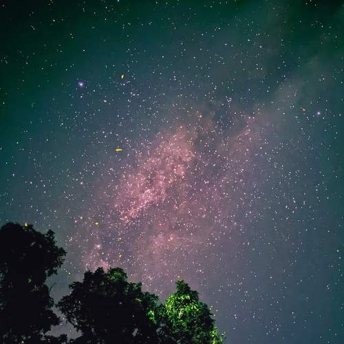 Photo #7428520
