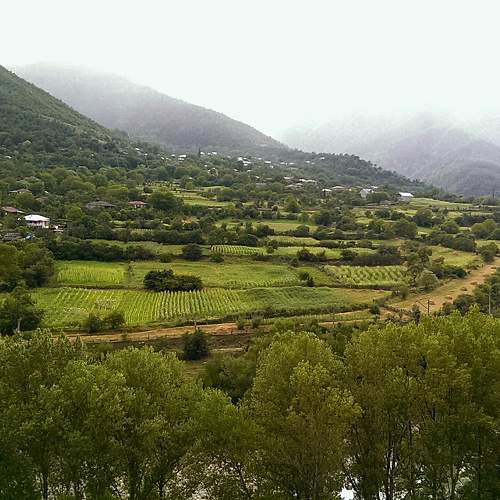 Photo #7428777