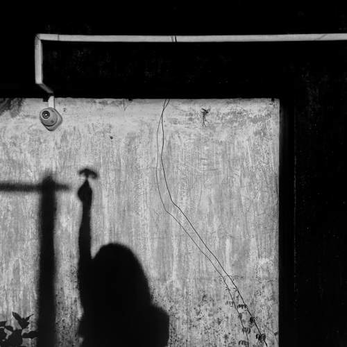 Photo #7428820