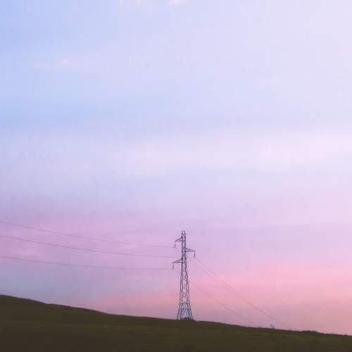 Photo #7428845