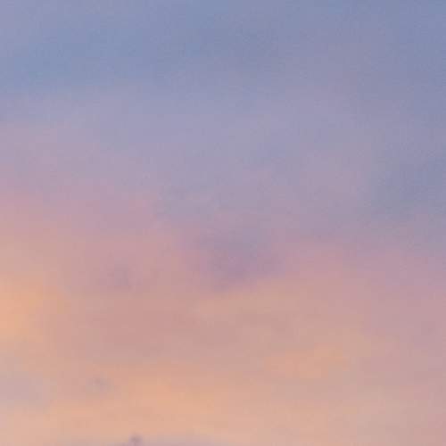 Photo #7428850