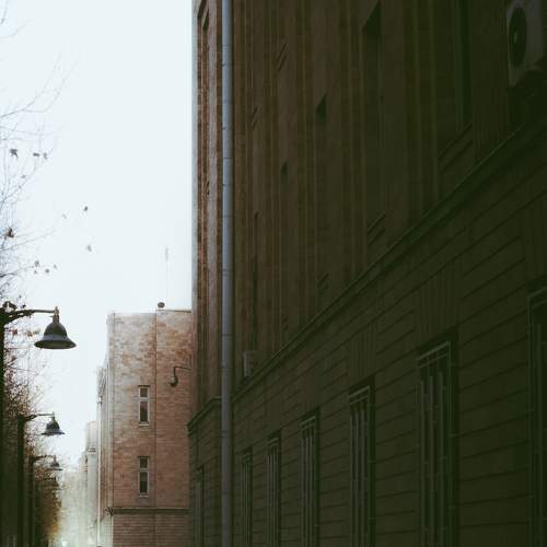 Photo #7428899