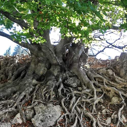 Photo #7428939