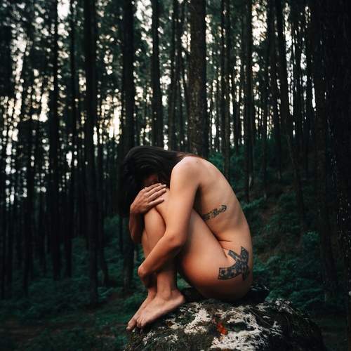 Photo #7429041