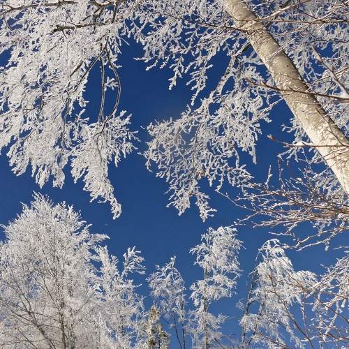 Фотография #7429077