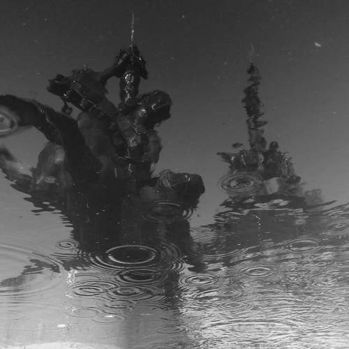 Reflexos