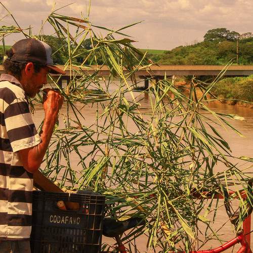 Photo #7429259