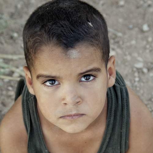 Photo #7429272