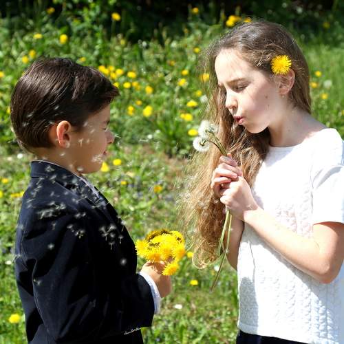 Photo #7429420