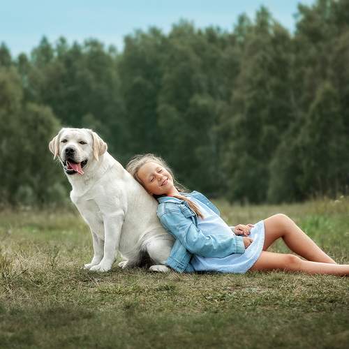 Photo #7429484