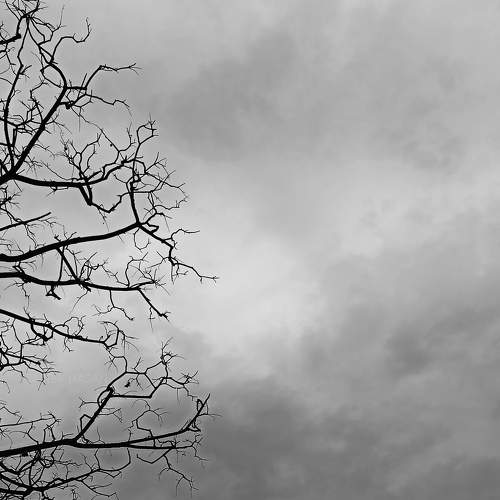 Photo #7430023