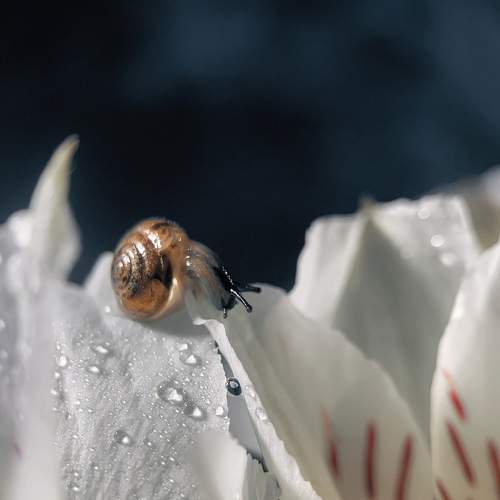 Photo #7430092