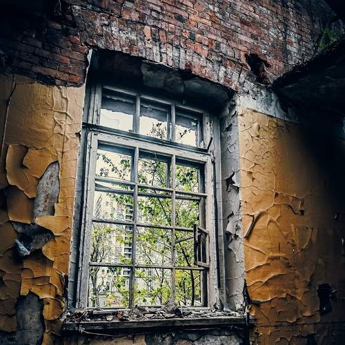Photo #7430772