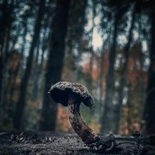 Photo #7430776