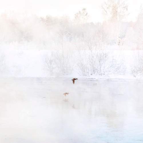 Photo #7431391