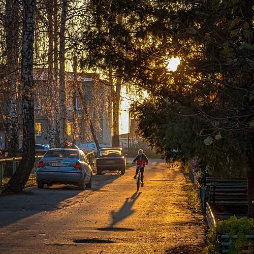 Photo #7431698