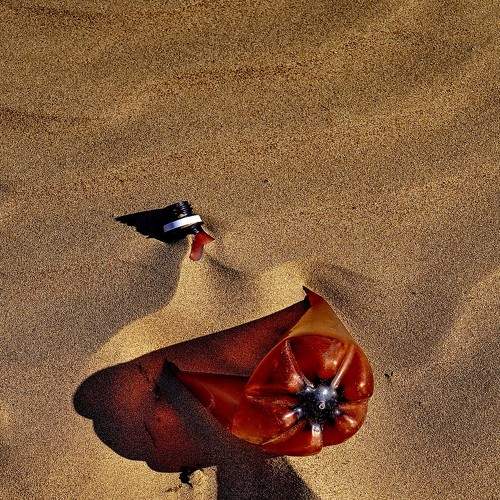 Photo #7431799