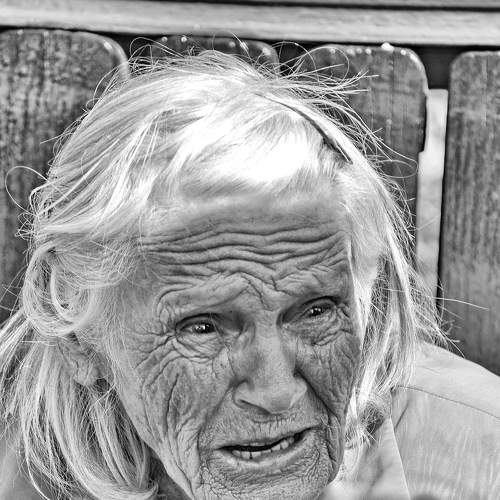 Photo #7431911
