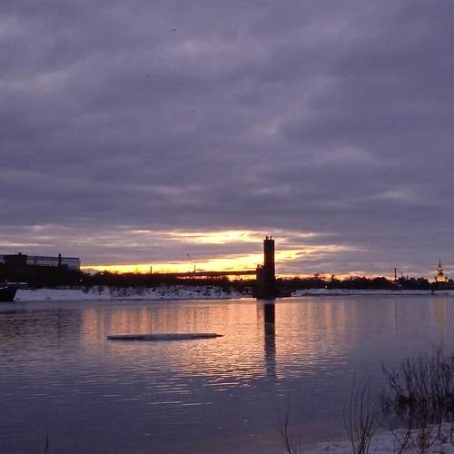 Photo #7432212
