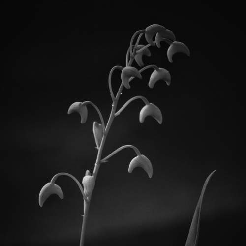 Фотография #7432963