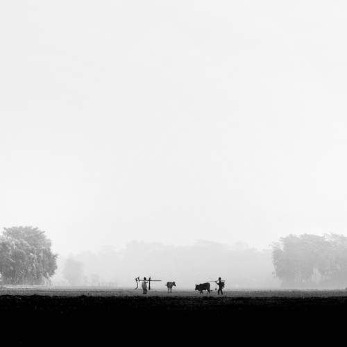 Photo #7433875