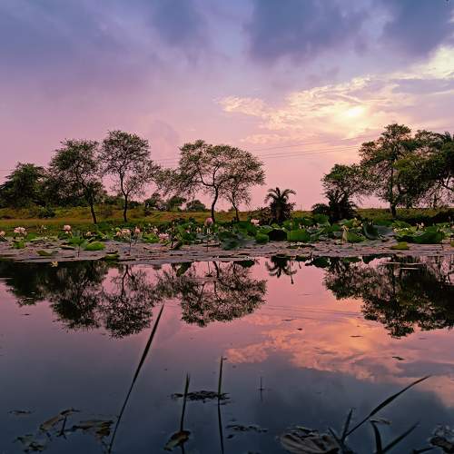 A colourful Day with beautiful reflection