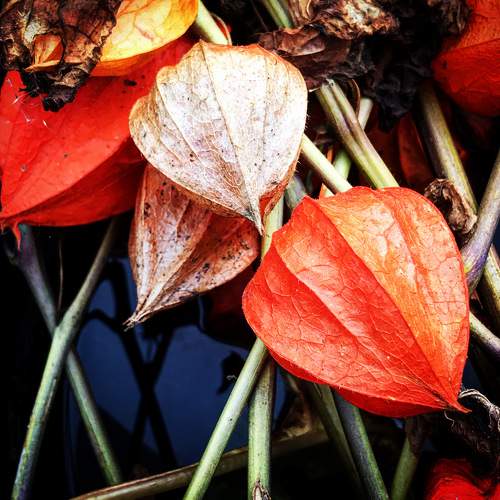 Photo #7434227