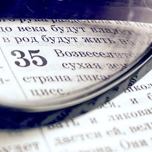Photo #7434404