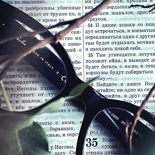 Photo #7434443