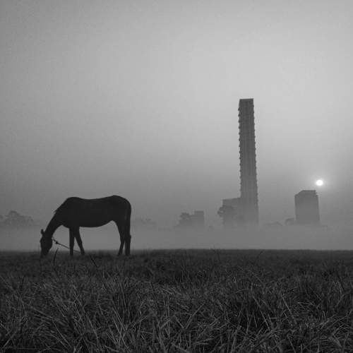 Photo #7434544
