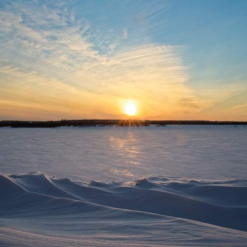 Photo #7434588