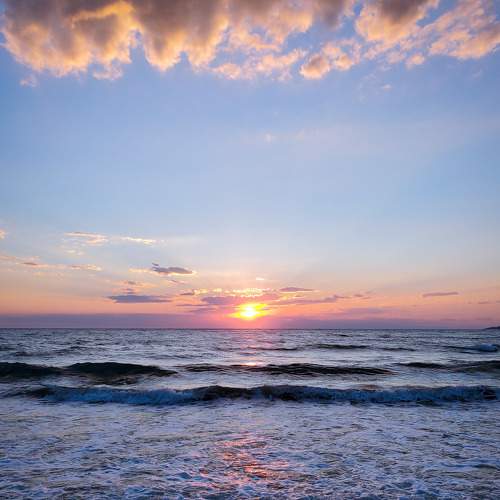 Photo #7434661