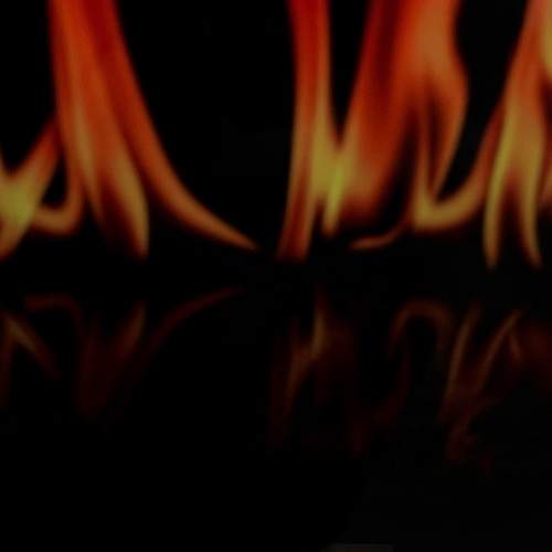 Photo #7434754