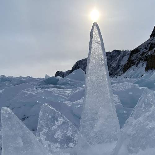 Photo #7434953