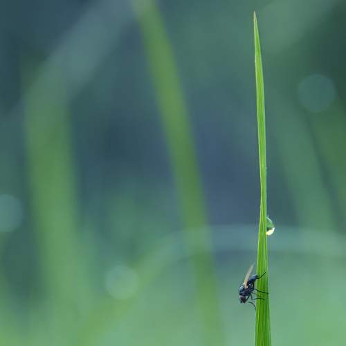 Photo #7434973