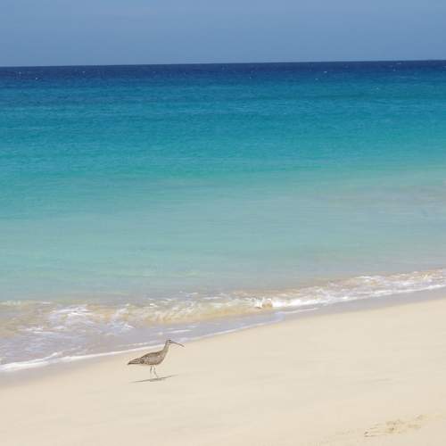 Photo #7434989
