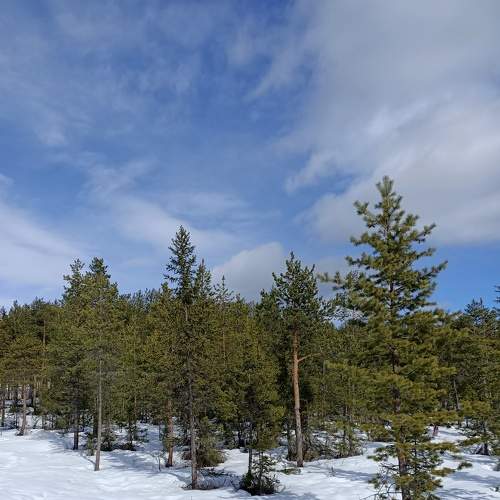 Photo #7435094
