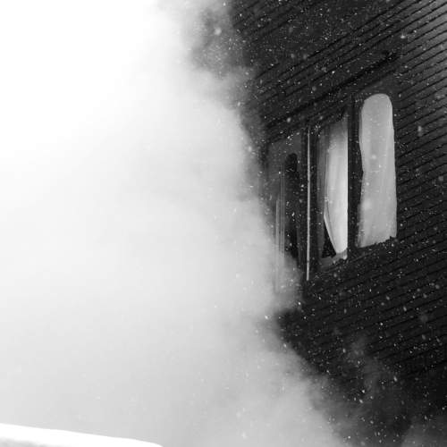 Photo #7435125