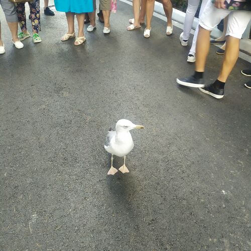 Photo #7435127