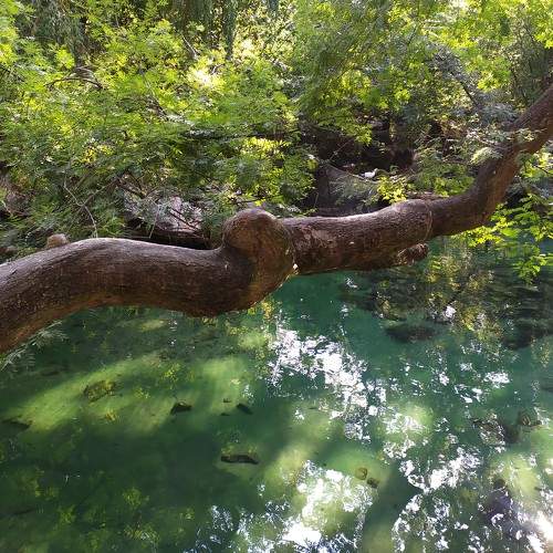 Photo #7435252