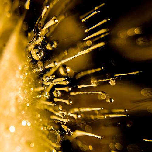 Photo #7435567