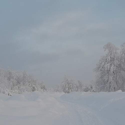 Photo #7435593