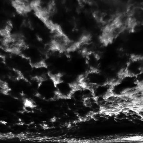 Photo #7435687