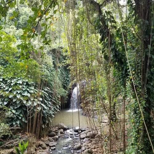 Waterfall in Grenada