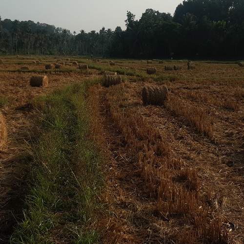 Photo #7436199